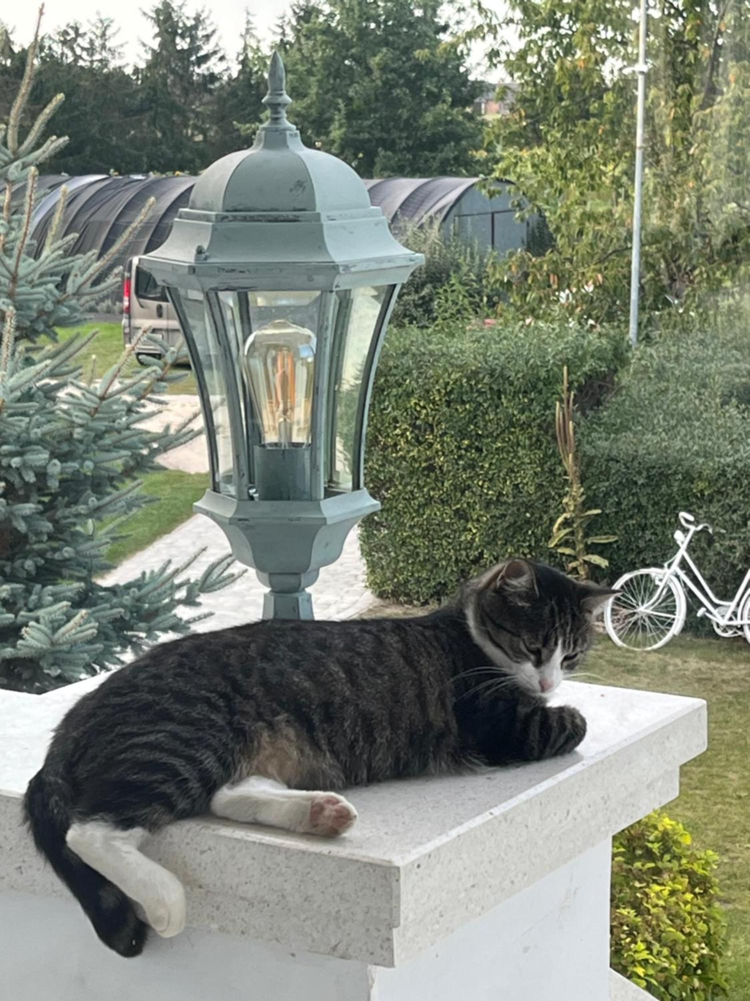 Bed and Breakfast Zielone Zacisze Murzynowo Kościelne Exteriér fotografie