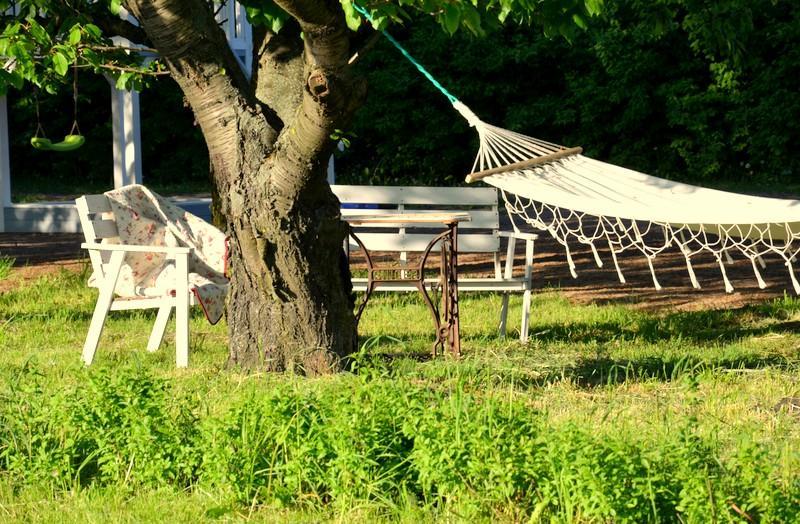 Bed and Breakfast Zielone Zacisze Murzynowo Kościelne Exteriér fotografie