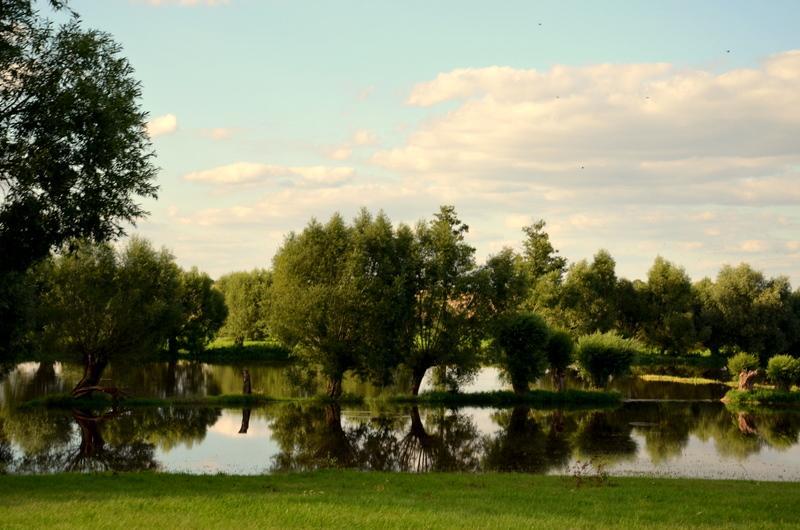 Bed and Breakfast Zielone Zacisze Murzynowo Kościelne Exteriér fotografie